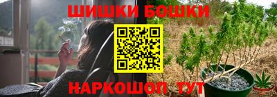 сатива Краснодар