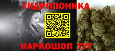 сатива Краснодар