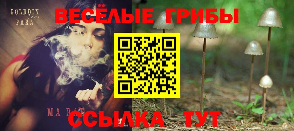 Усть-Джегута  Галлюциногенные грибы мухоморы  Псилоцибиновые грибы Psilocybine cubensis  Вход с VPN 